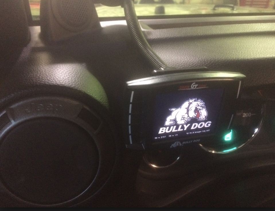 1 Bully dog.jpg 1 Bully dog.jpg